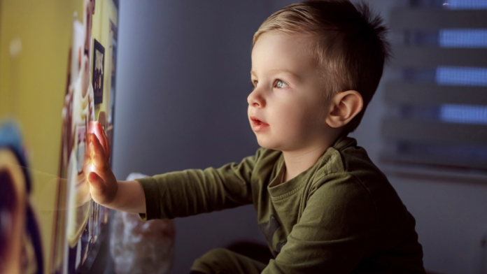 videos cortos TikTok Instagram